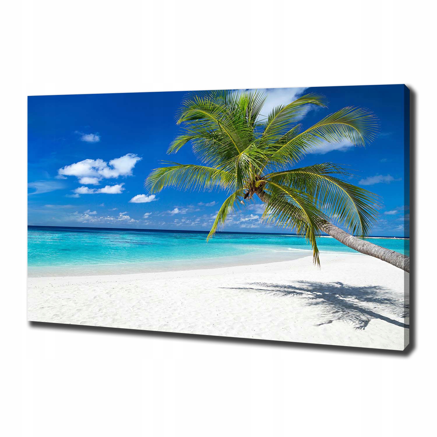 

Foto obraz na płótnie Tropikalna plaża 100x70 cm