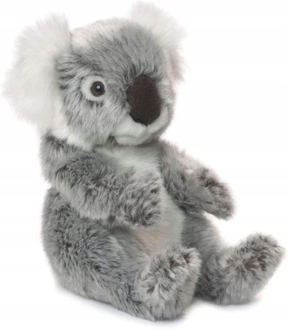 

Koala 22 Wwf