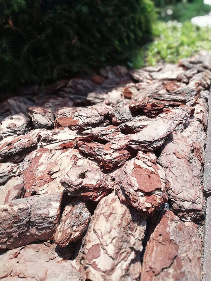 Kora Sosnowa Sortowana Extra Gruba 80l 33szt Marka inna