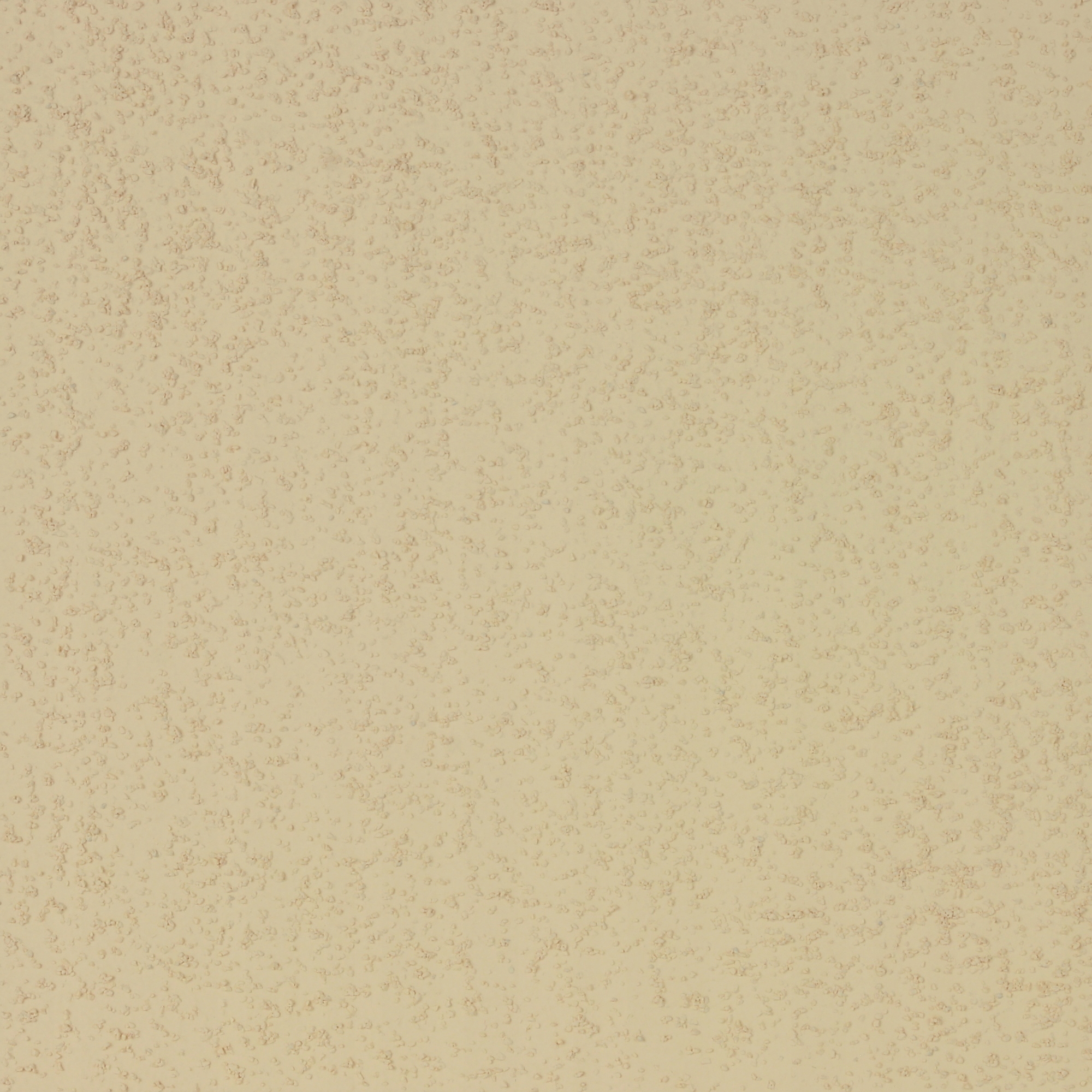 Farba Strukturalna Elewacyjna RAYER 10l beżowy EAN (GTIN) 5906725270085