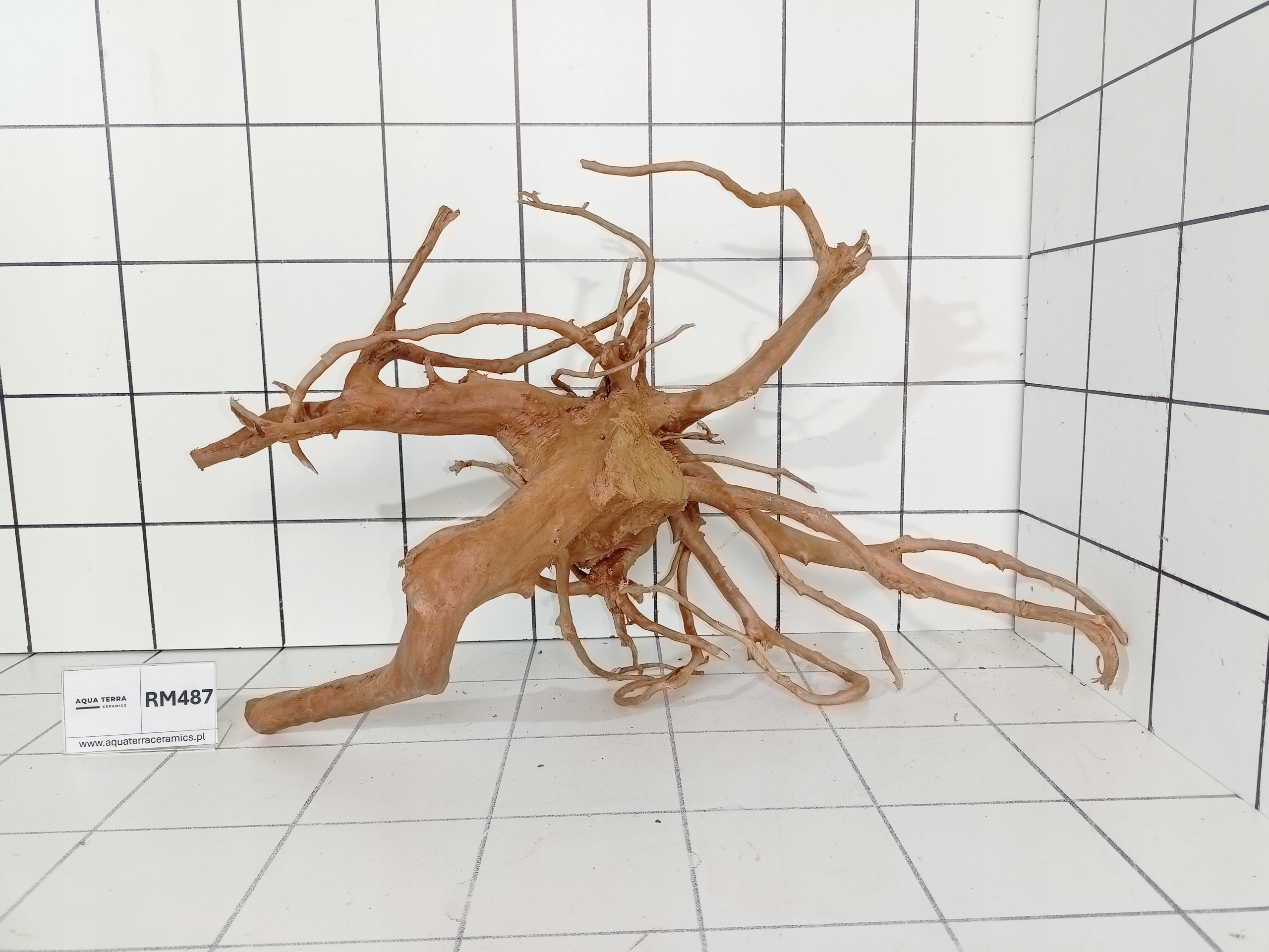 Korzeń Japoński Do Akwarium Terrarium Red Moor RM487 (to co na zdjęciu)
