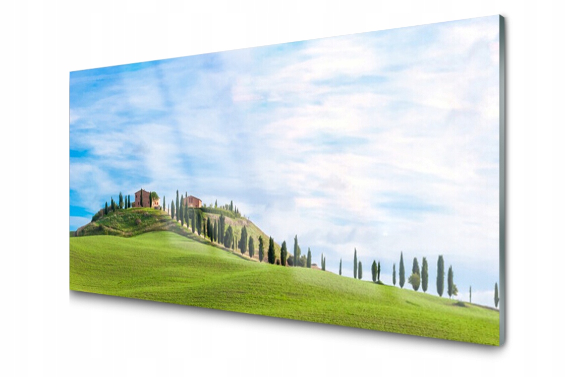 

Panel szklany Płytka Łąka Drzewa 140x70 + Klej