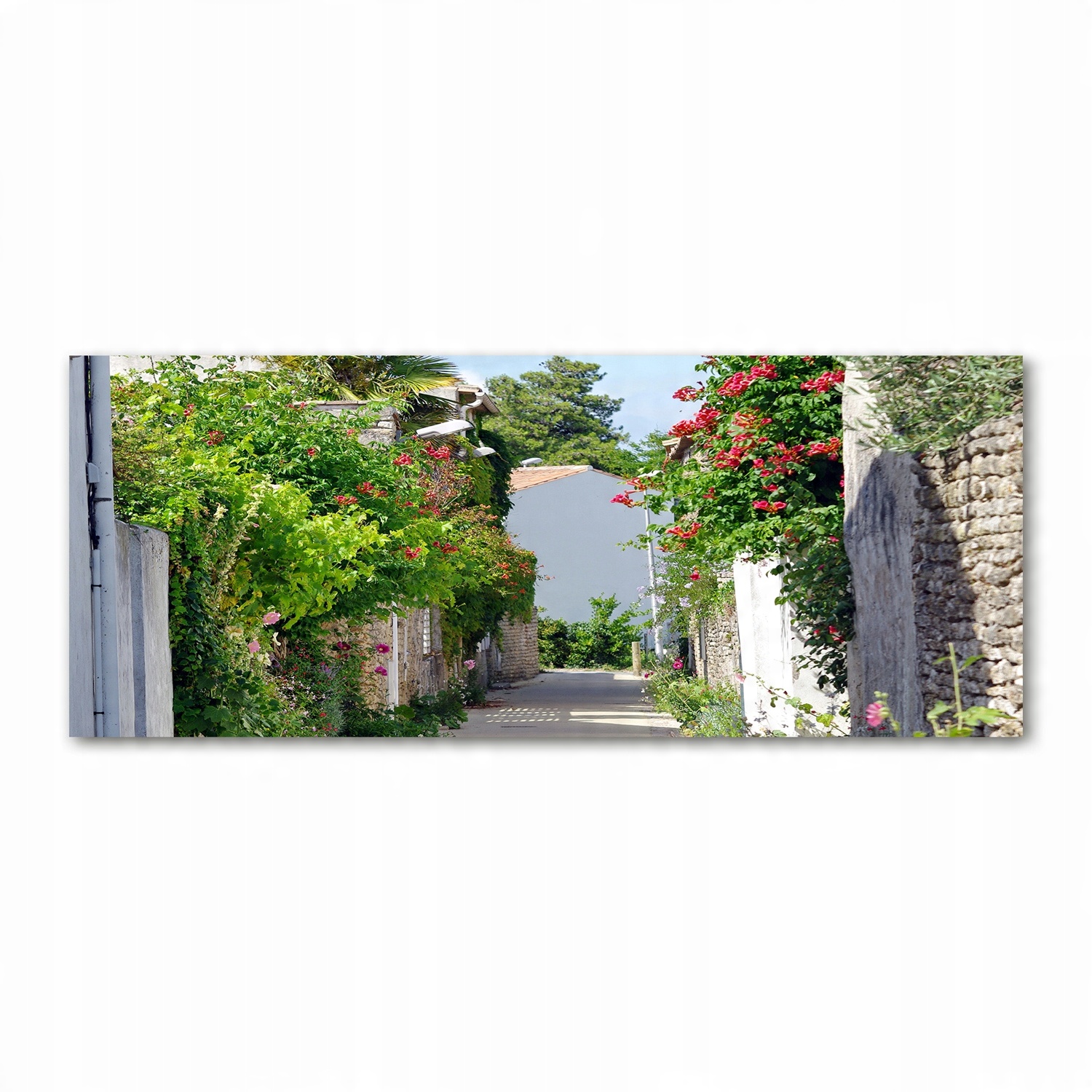 

Foto obraz akryl zdjęcie Kwiecista aleja 125x50 cm