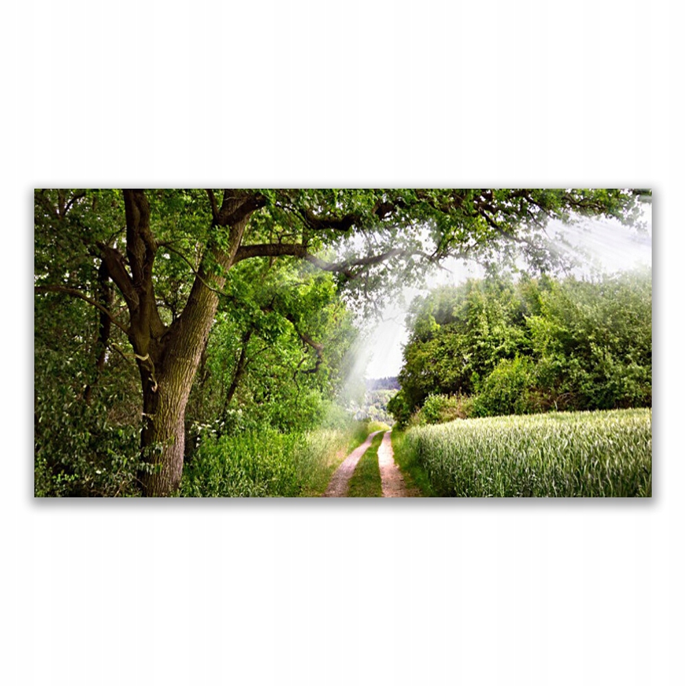 

Obraz akryl wiszący 140x70 Drzewa Ścieżka Natura