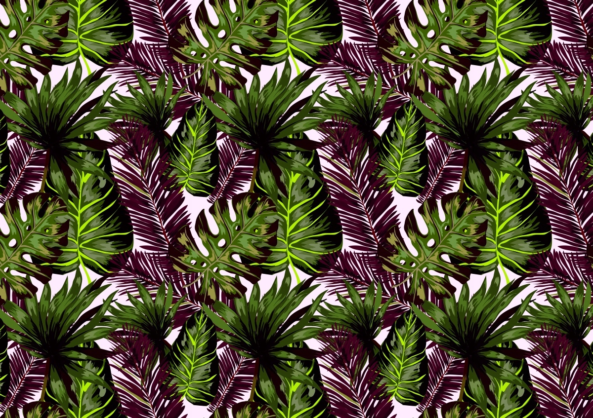 

Fototapeta Flizelinowa Liście Monstera - 312x219