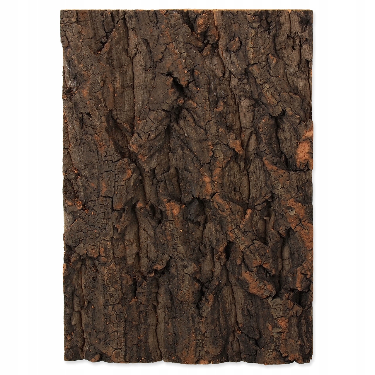 Levně Přírodní Kůra Pozadí Do Terária Repti Planet