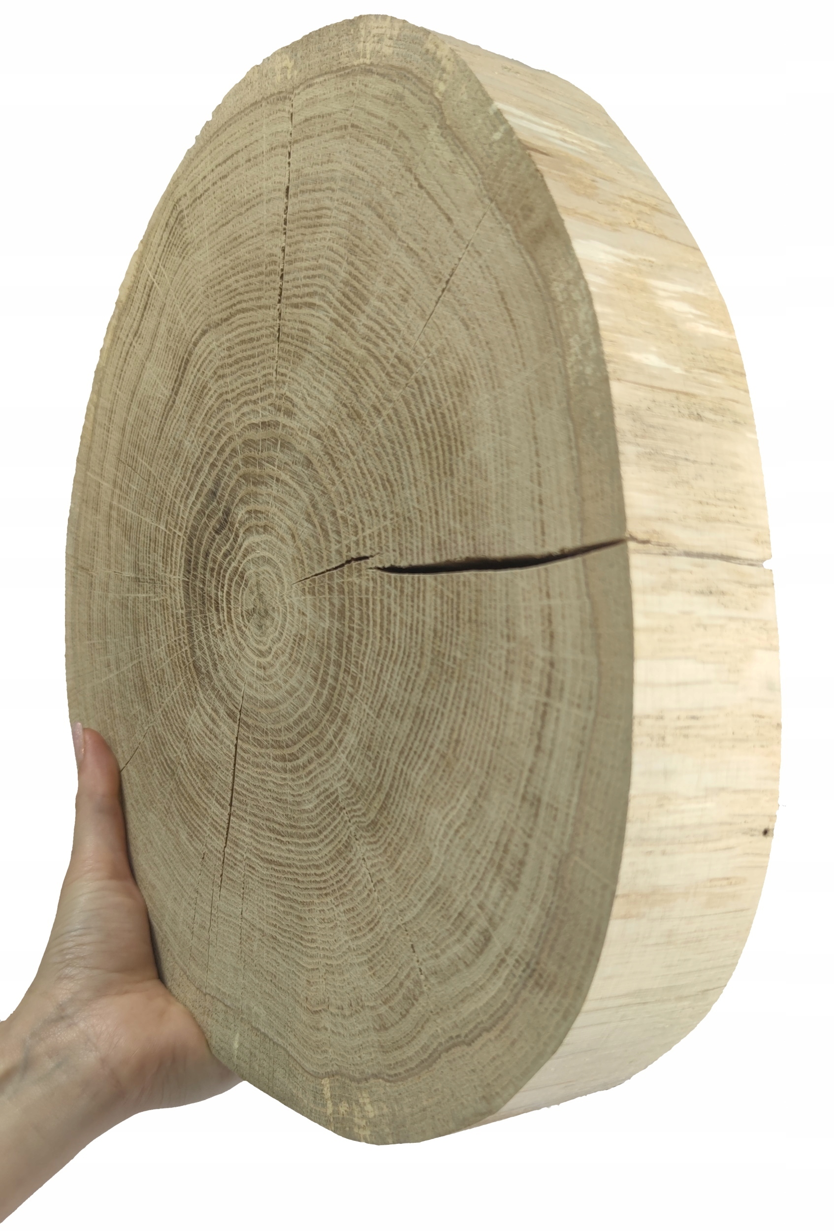 Dřevěný plát dubový plátek broušený dřevěný kotouč 25-30cm gr.6cmDUB