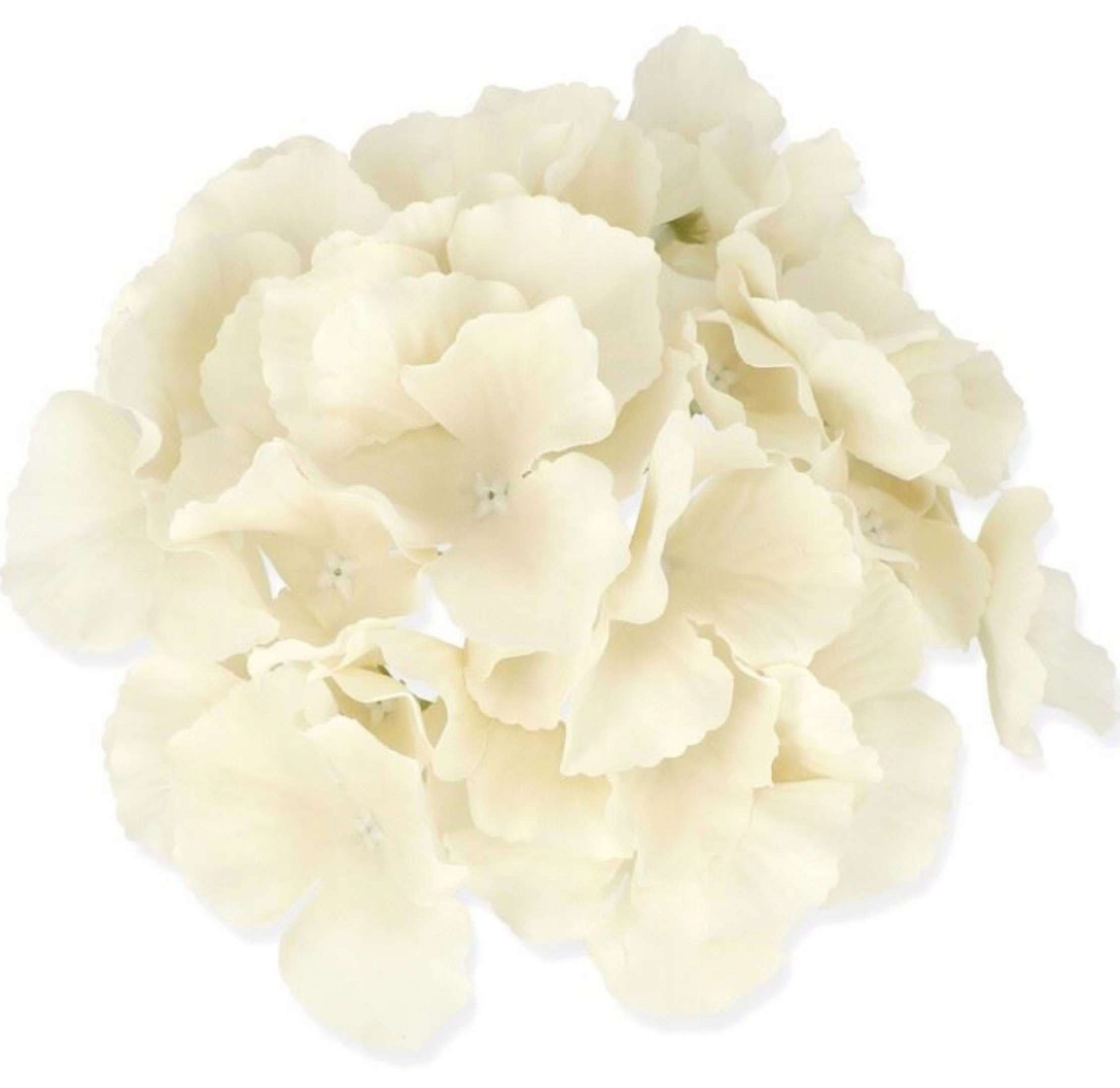 

Kwiat Hortensja Satynowa Główka 17cm