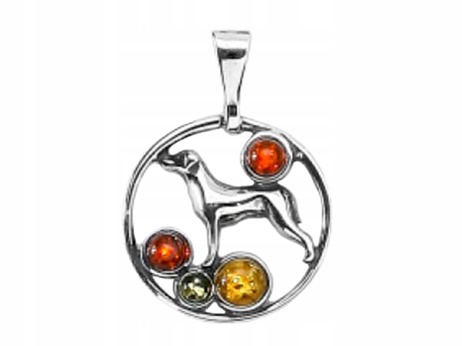 Stříbrný Přívěsek s jantarem Pes Barevný přívěsek Kolečko