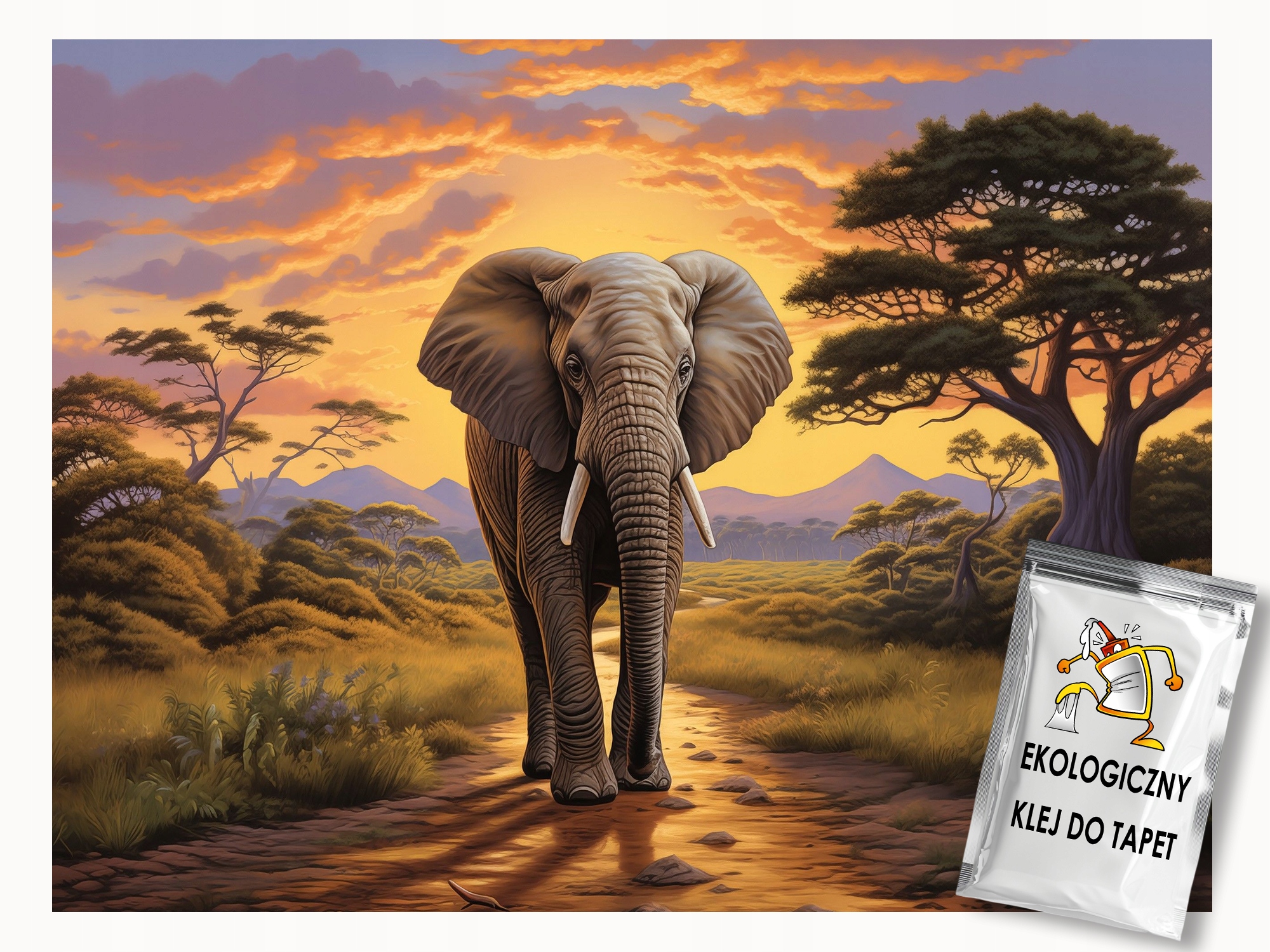 Fototapeta Flizelina Afrika Savana Slon Procházka Slunce Západ 350x250 lepidlo