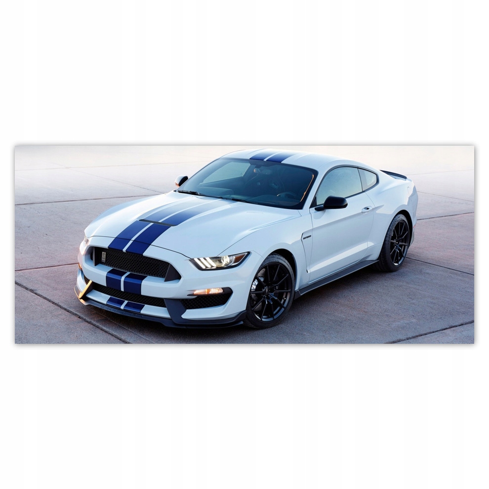 

Fototapety flizelina 211x91 Ford Mustang Shelby