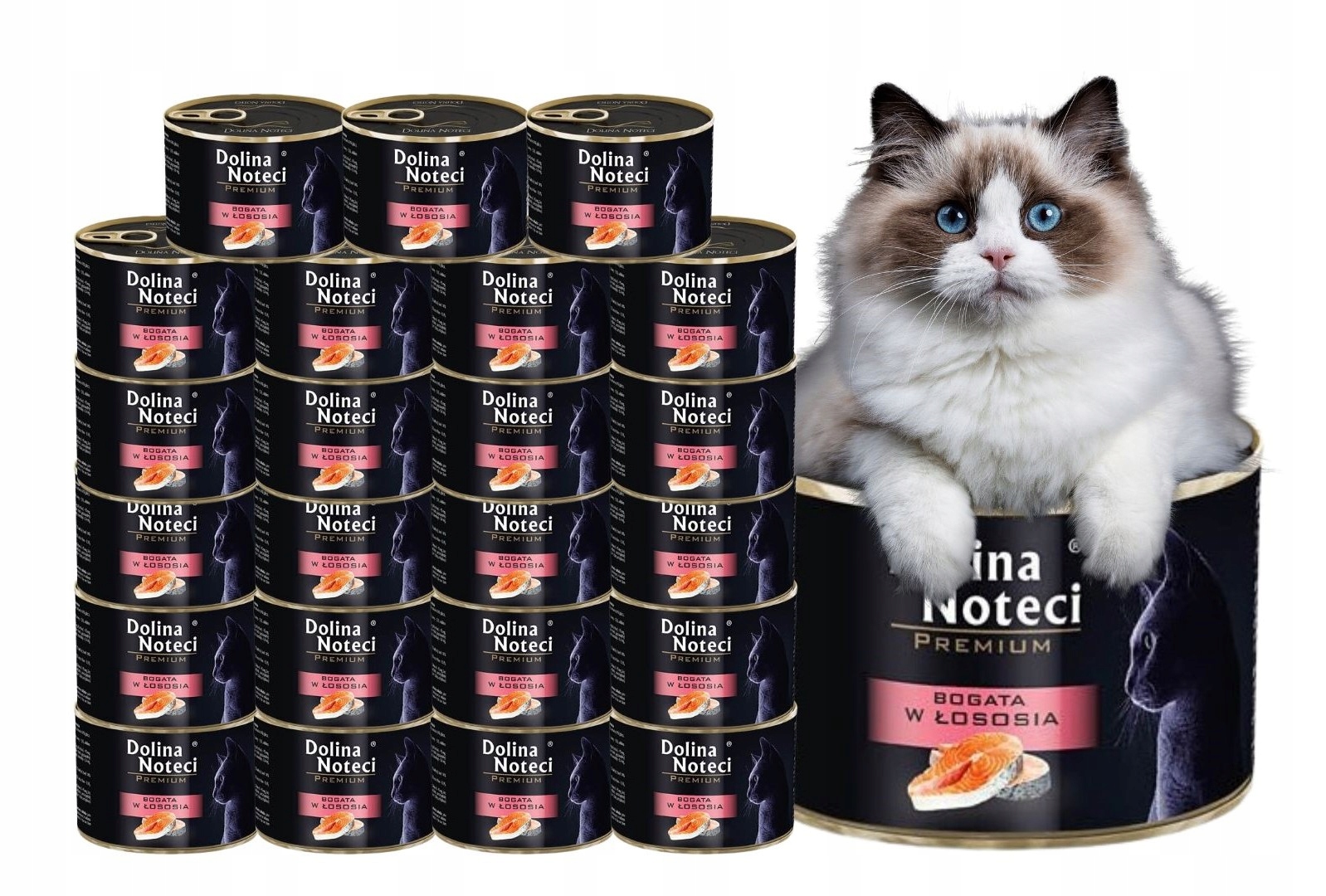 Levně Dolina Noteci Premium mokré krmivo pro kočky bohaté na lososa 24x185 g