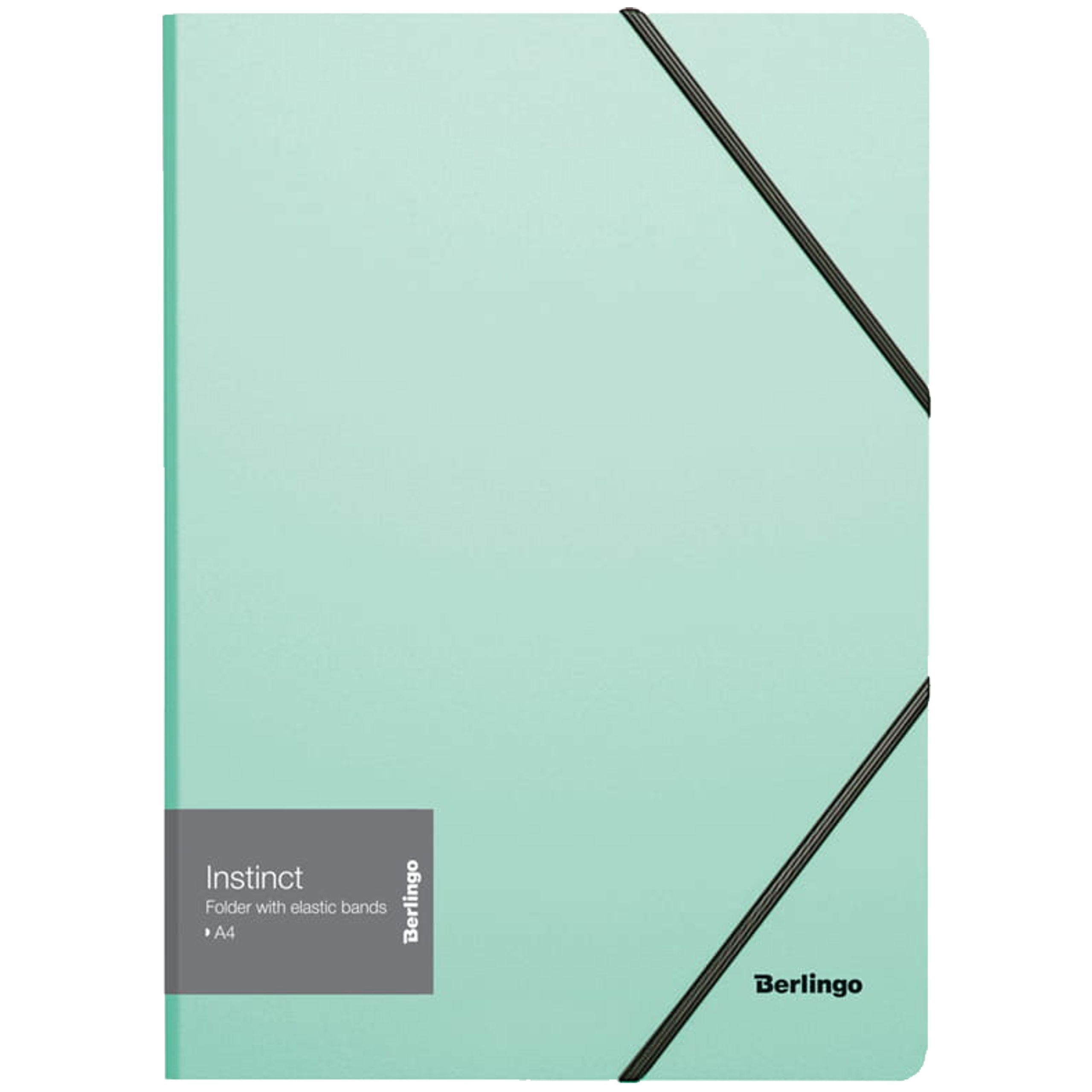 

Teczka Rysunkowa A4 Z Gumką Miętowa Berlingo