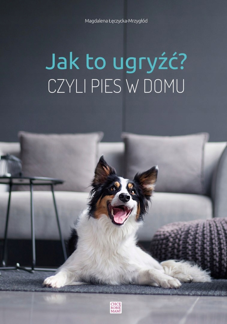 Jak to ugryźć? Czyli pies w domu.
