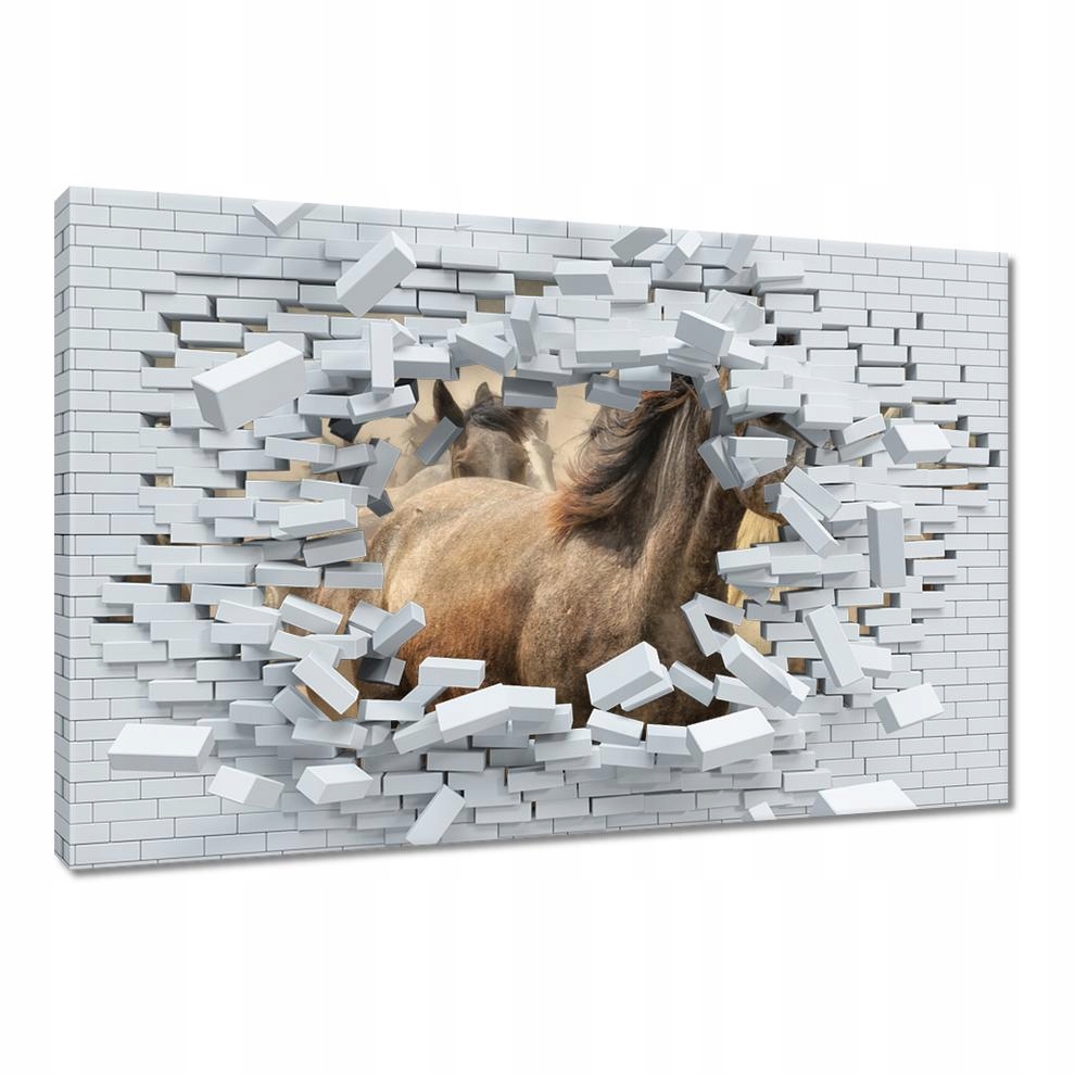 

Obrazy 60x40 Dzikie Konie Koniki Galop