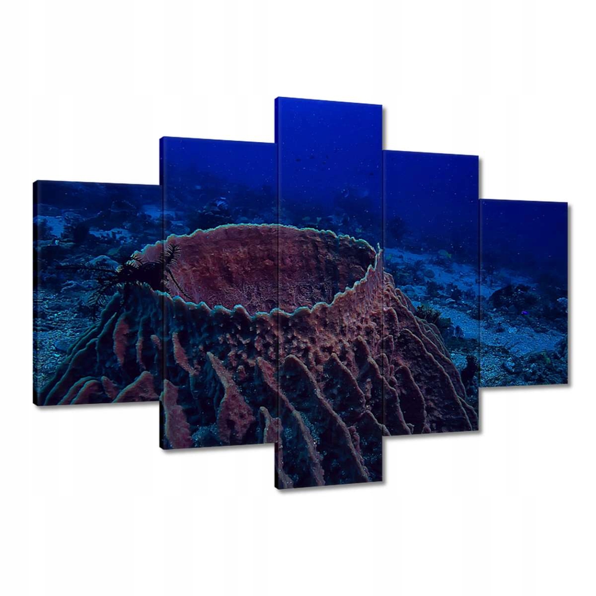 Obrazy 150x105 Podmořský mořský život