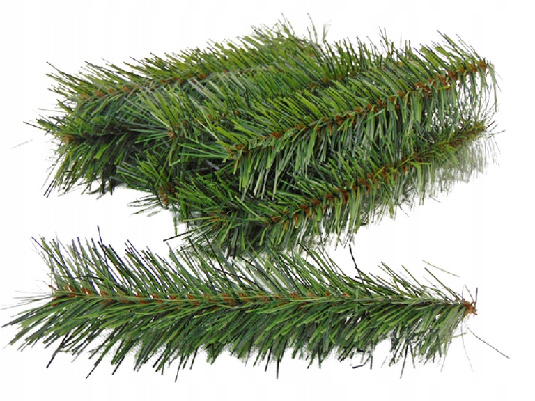 

Gałązka sosnowa 20 cm 10 szt