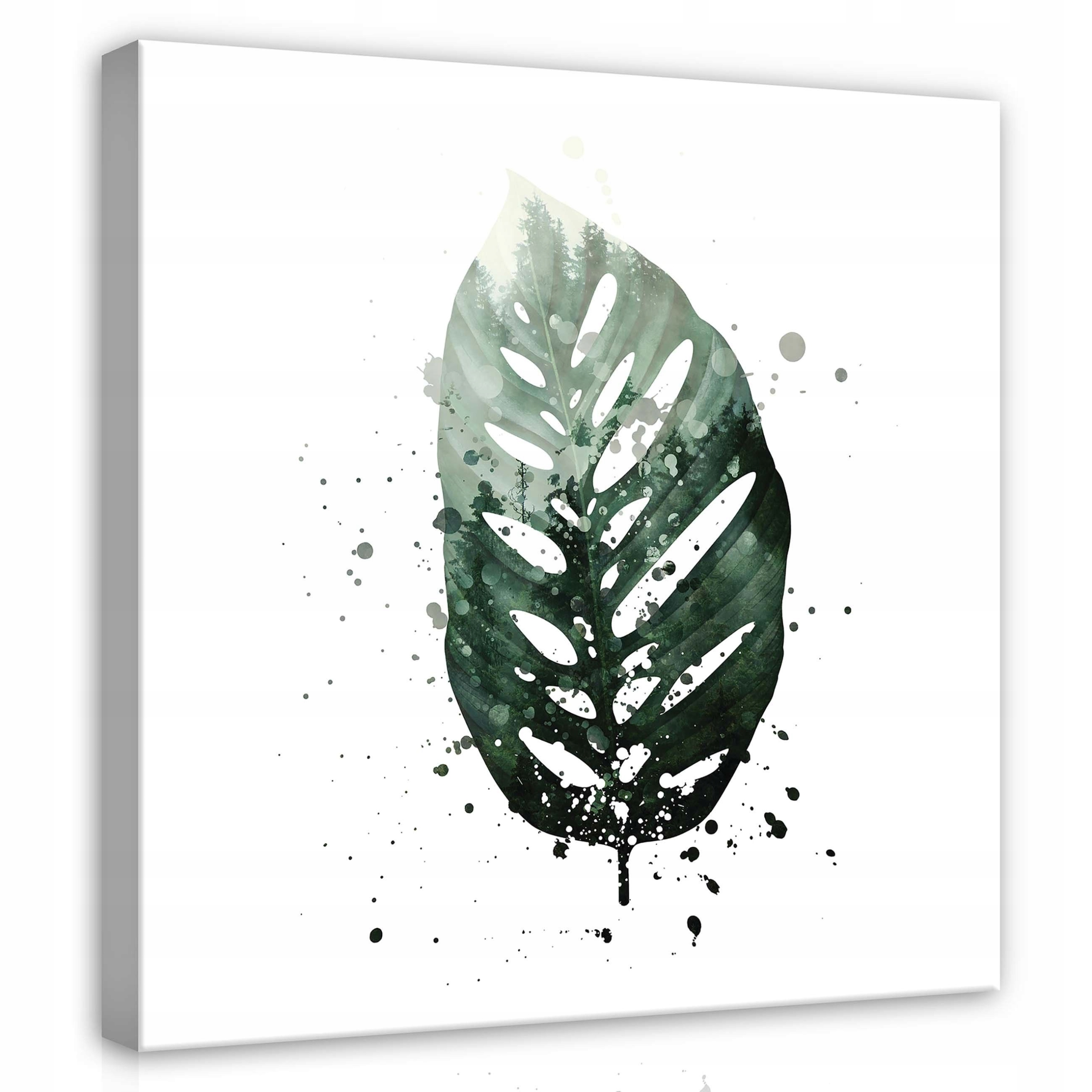 Obraz 80x80 Monstera list les příroda abstrakce akvarel zeleň