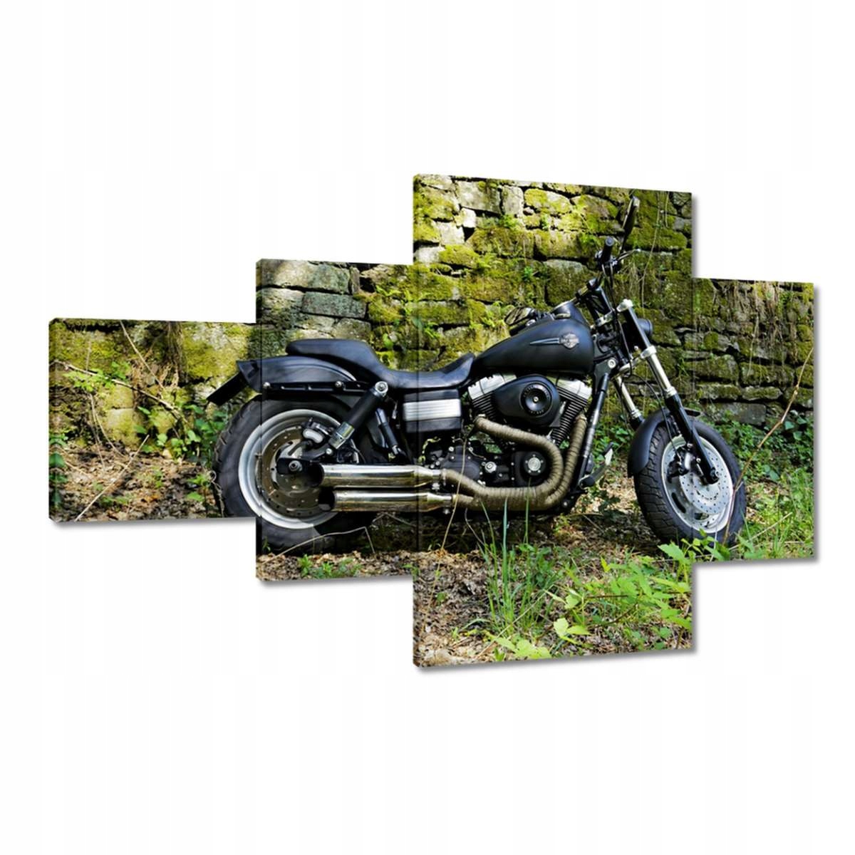 Obrazy 130x80 od Harleye na výlet