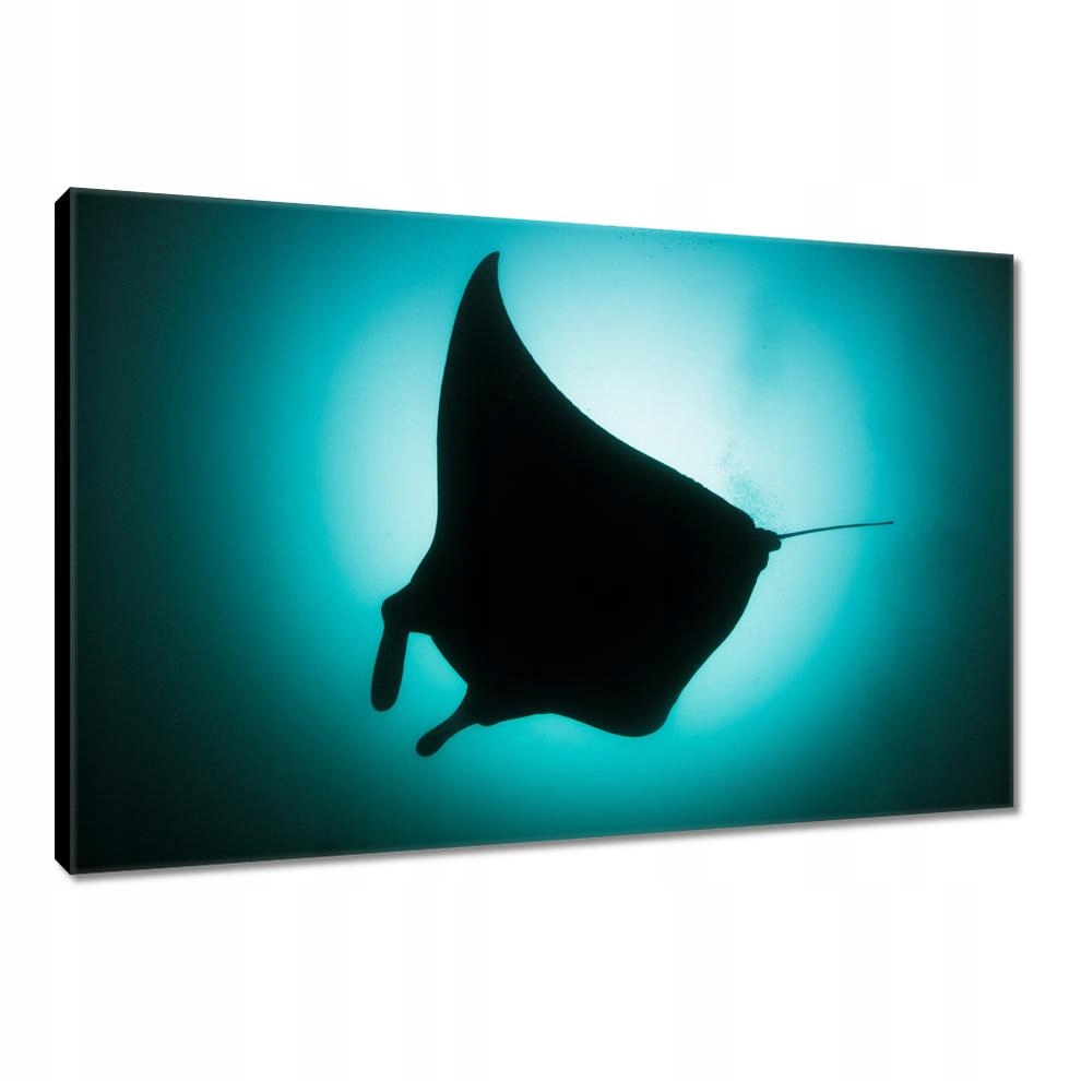 

Obrazy 120x80 Zwierzęta Zwierzątka