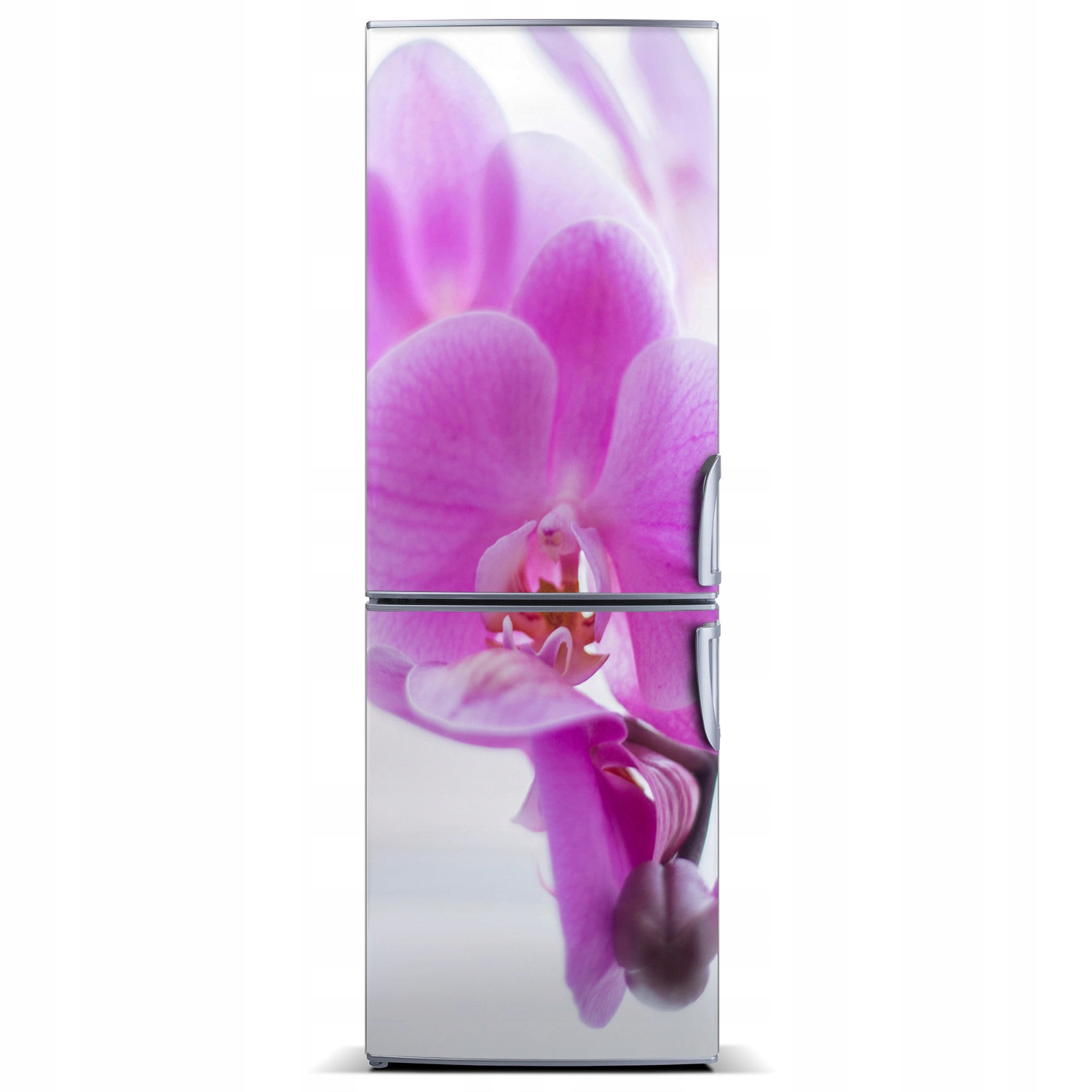 

Foto Magnes Tapeta na lodówkę Różowa orchidea XL