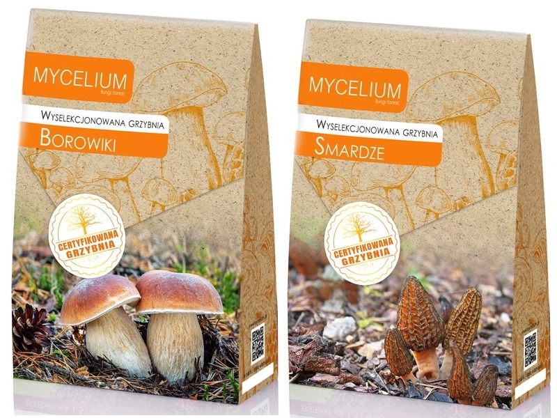 Levně Podhoubí Borowiki Smardze sada 2 kusů