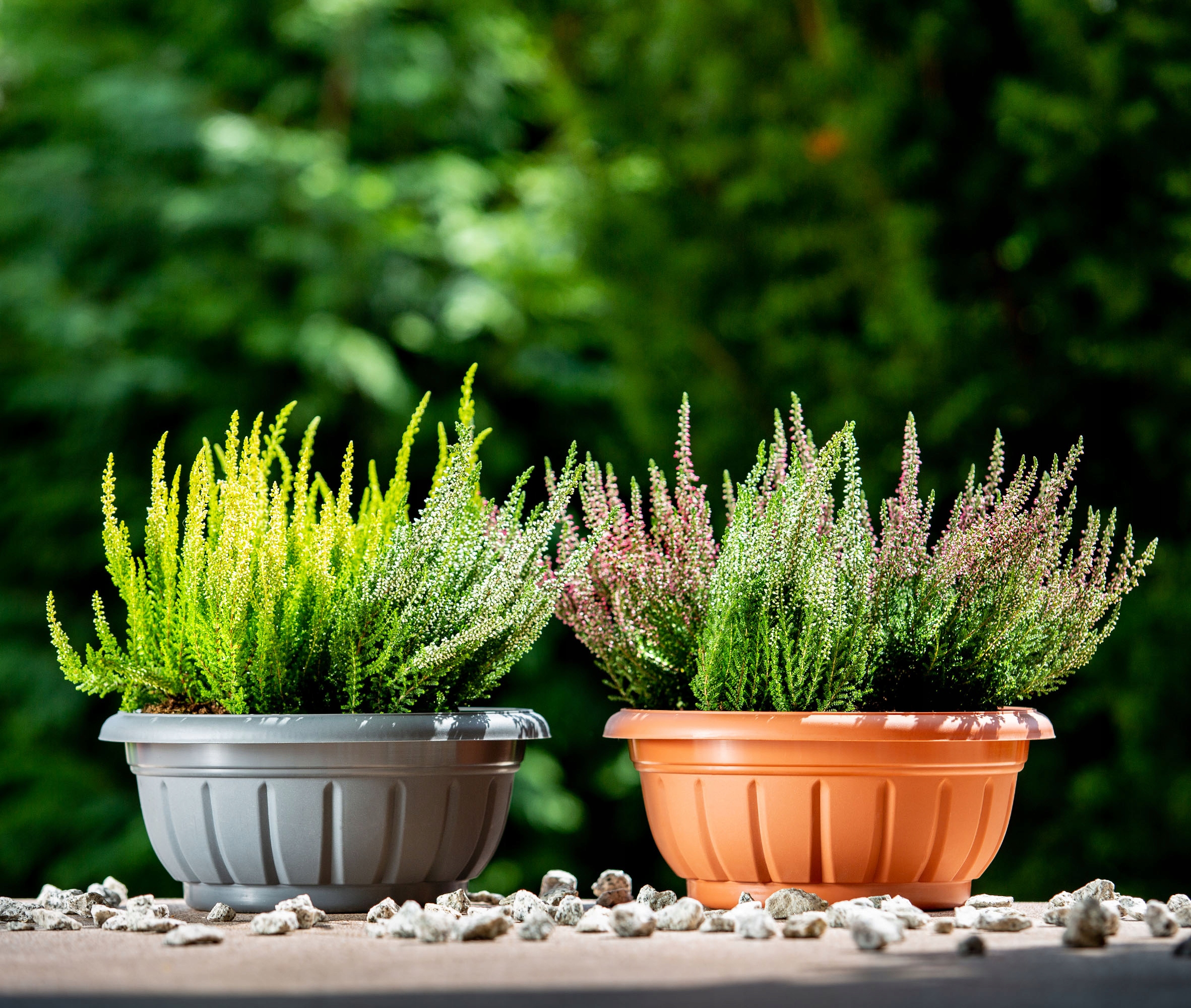 MISA DONICZKA PLASTIKOWA NA KWIATY 30 CM GRAFITOWA Wysokość produktu 14 cm