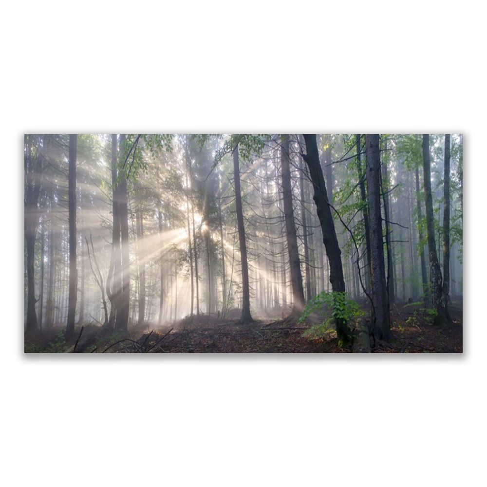 

Fotoobraz akryl ścienny 140x70 Las Natura Drzewa
