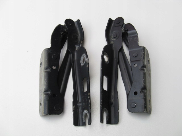 bonnet hinges front VW ESO LK5N