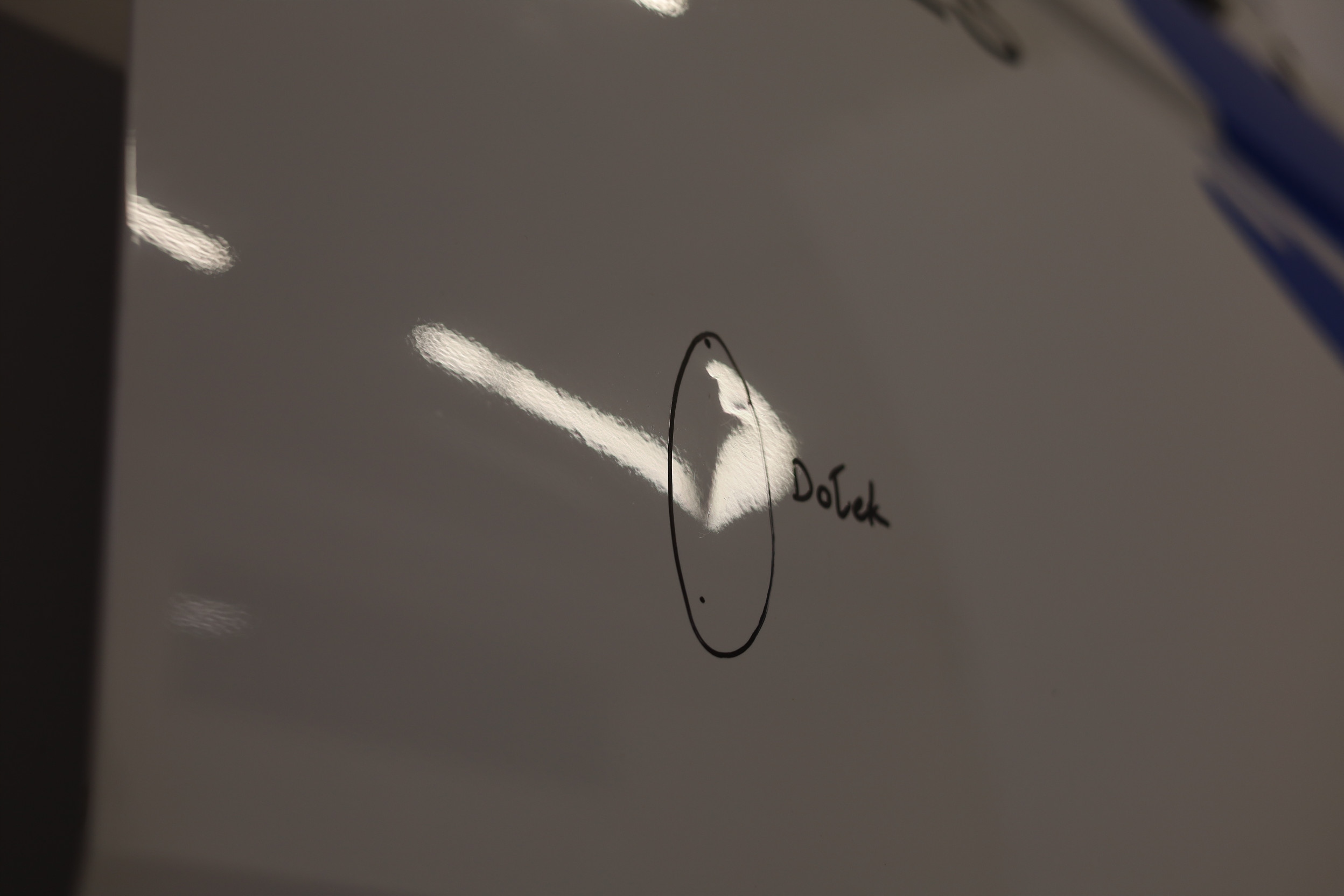 DRZWI PRAWE PRAWY PRZÓD PRZEDNIE VW TRANSPORTER T6.1 2023R LB9A Producent części VW