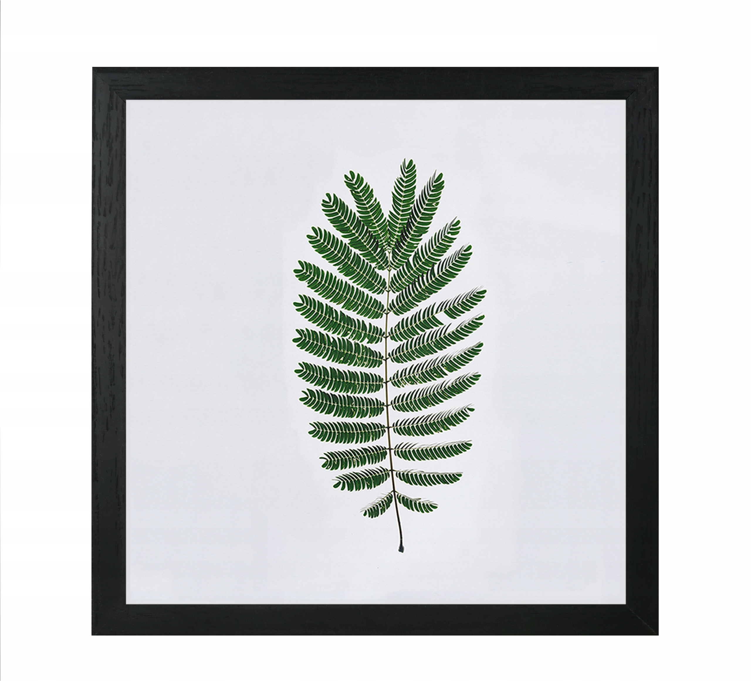 

Ramka na zdjęcia 30x30 Ramki Czarny
