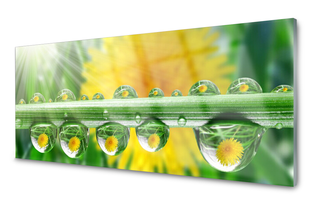 

Panel szklany do kuchni Krople Rosa Roślina 125x50