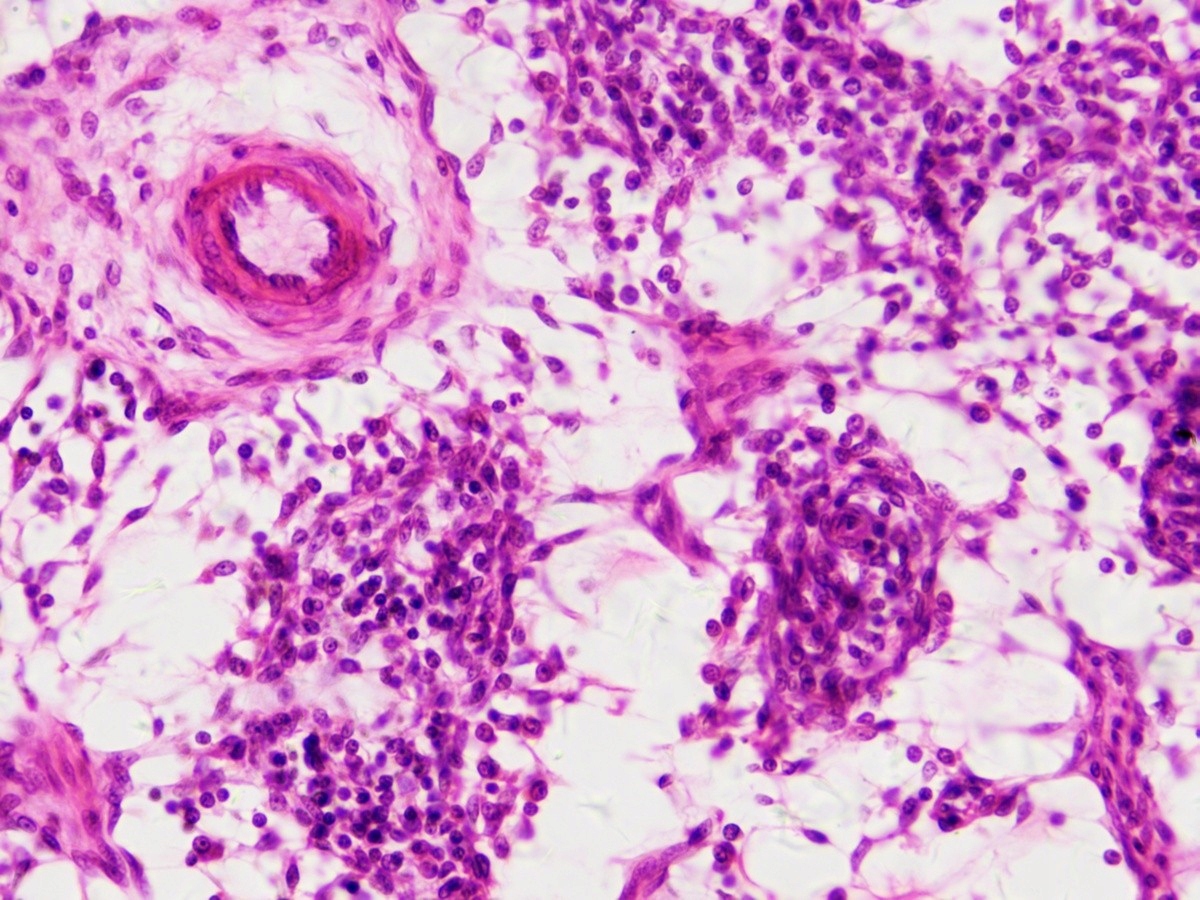 Preparaty mikroskopowe - BRESSER - narządy i tkank Kod producenta B5985000