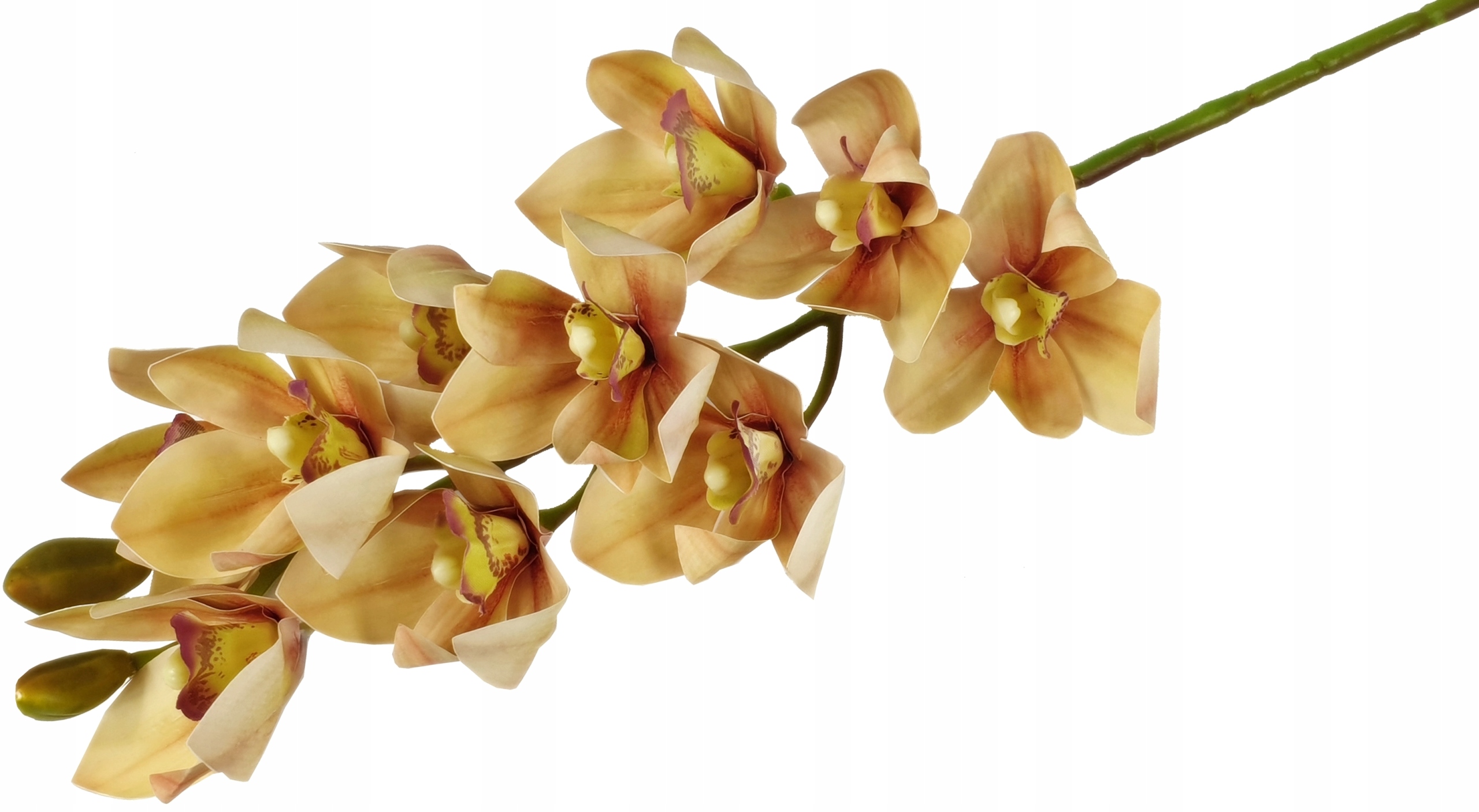 STORCZYK ORCHIDEA GAŁĄZKA 10 KWIATÓW 75cm GUMOWY