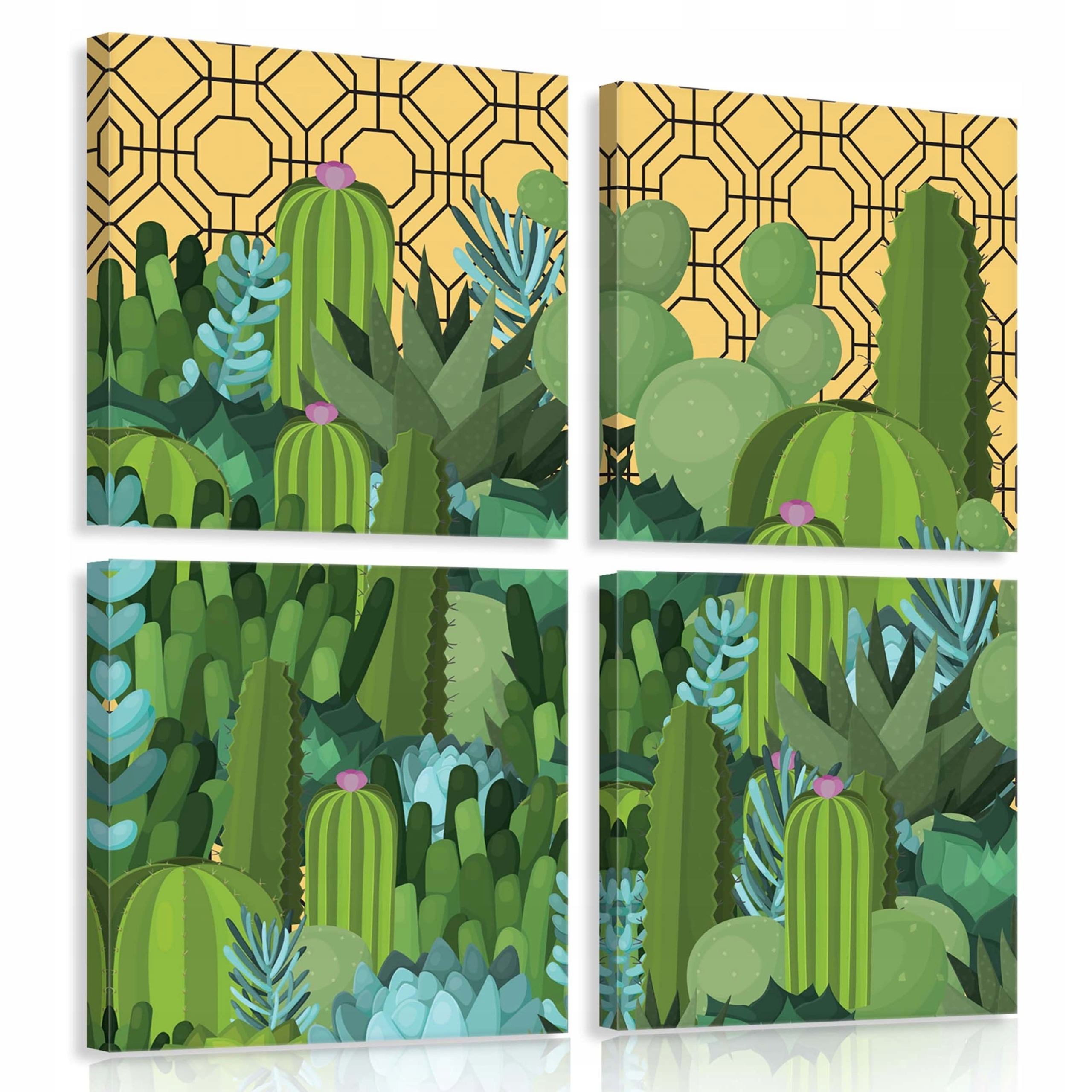 Obraz 50x50 Kaktusy sukulenty pouštní rostliny botanika zeleň žlutá