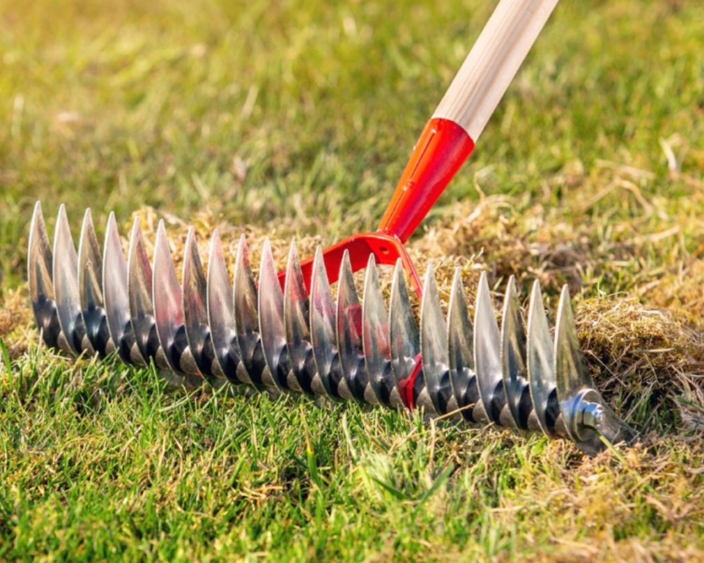 WERTYKULATOR AREATOR DO TRAWY GLEBY GRABIE 2w1 Kod producenta 1