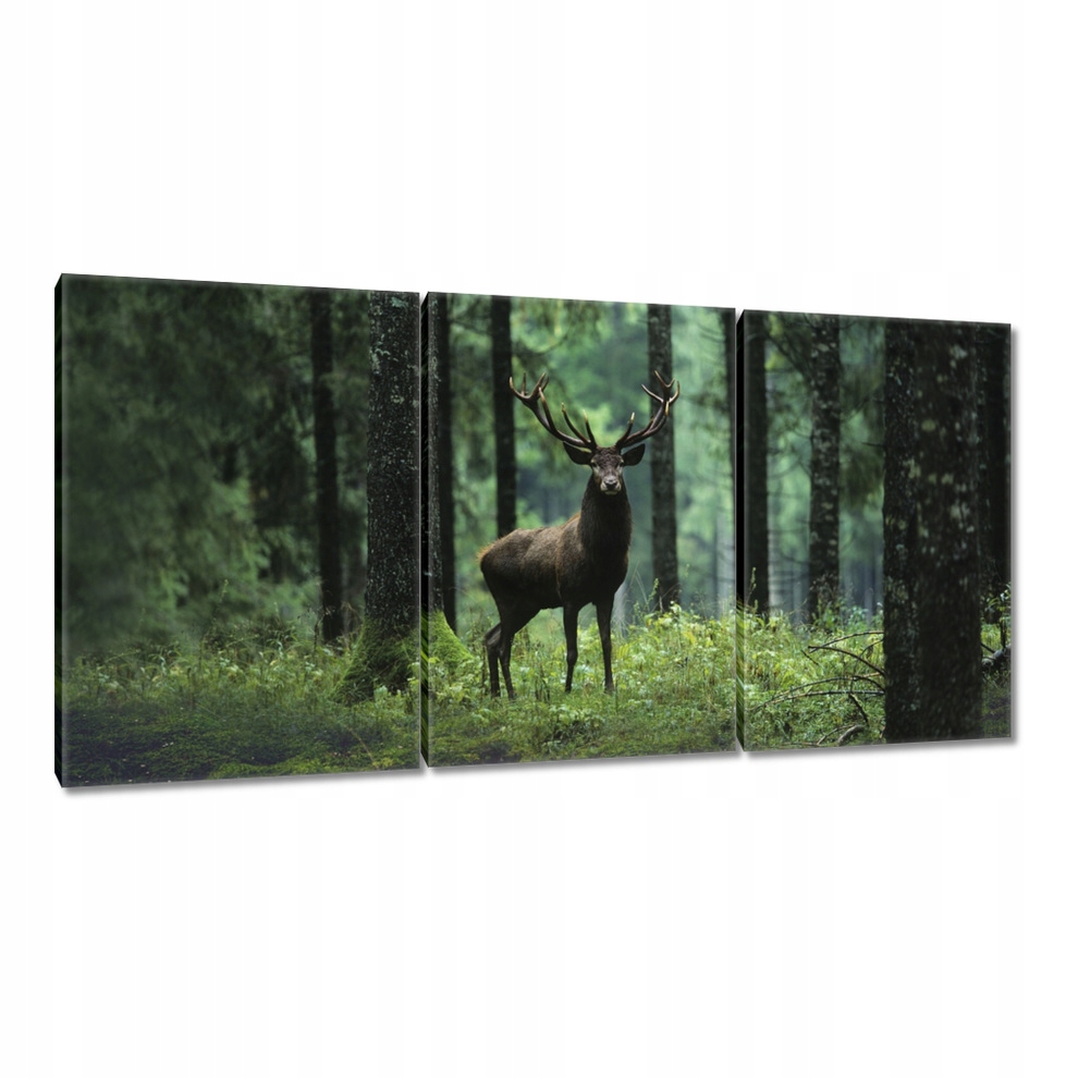 Obraz 180x90 Jeleň uprostred lesa