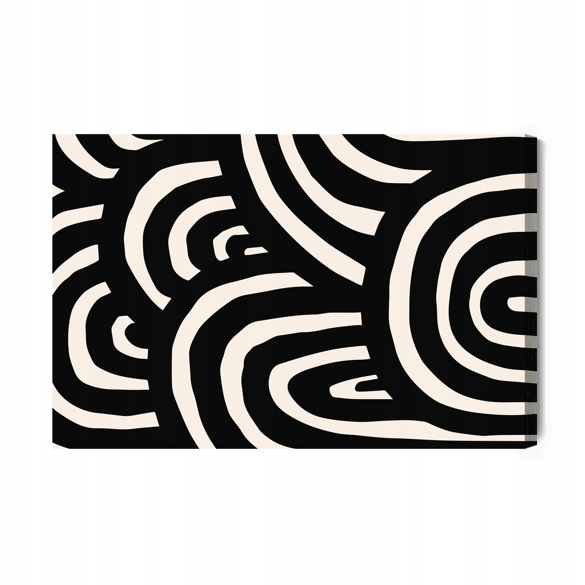 Černobílé vlny op art Obraz na plátně Černobílé vlny op art 60x40 cm