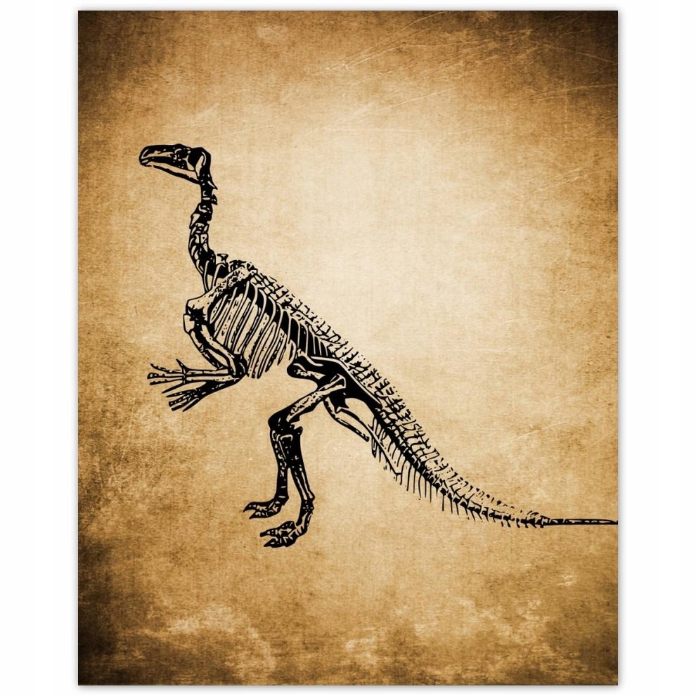 

Plakat 40x50 Dinozaur Prehistoria Dino