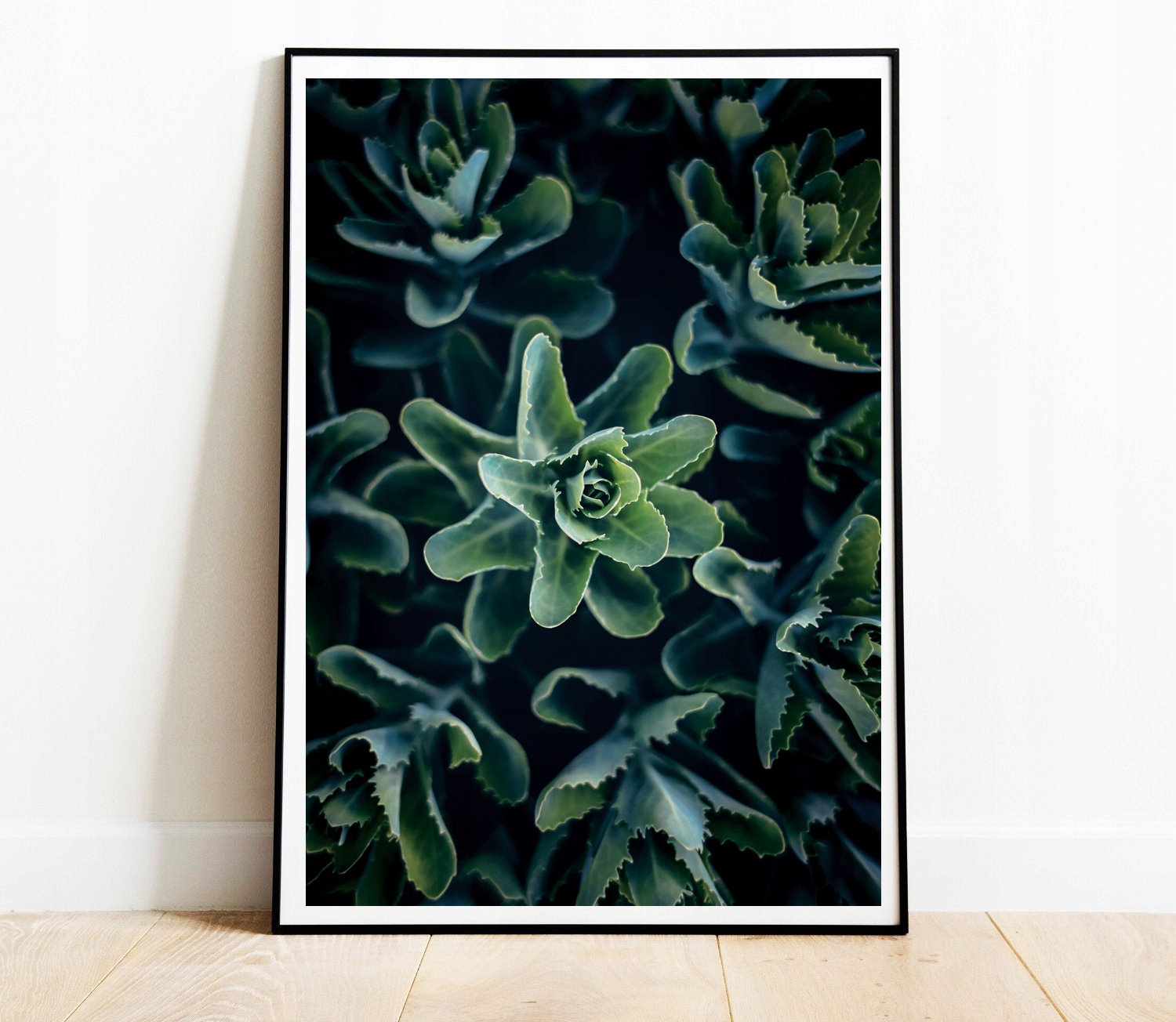 OBRAZY PLAKATY ZESTAW 3 SZTUKI A4 ROŚLINY LIŚCIE Marka inna