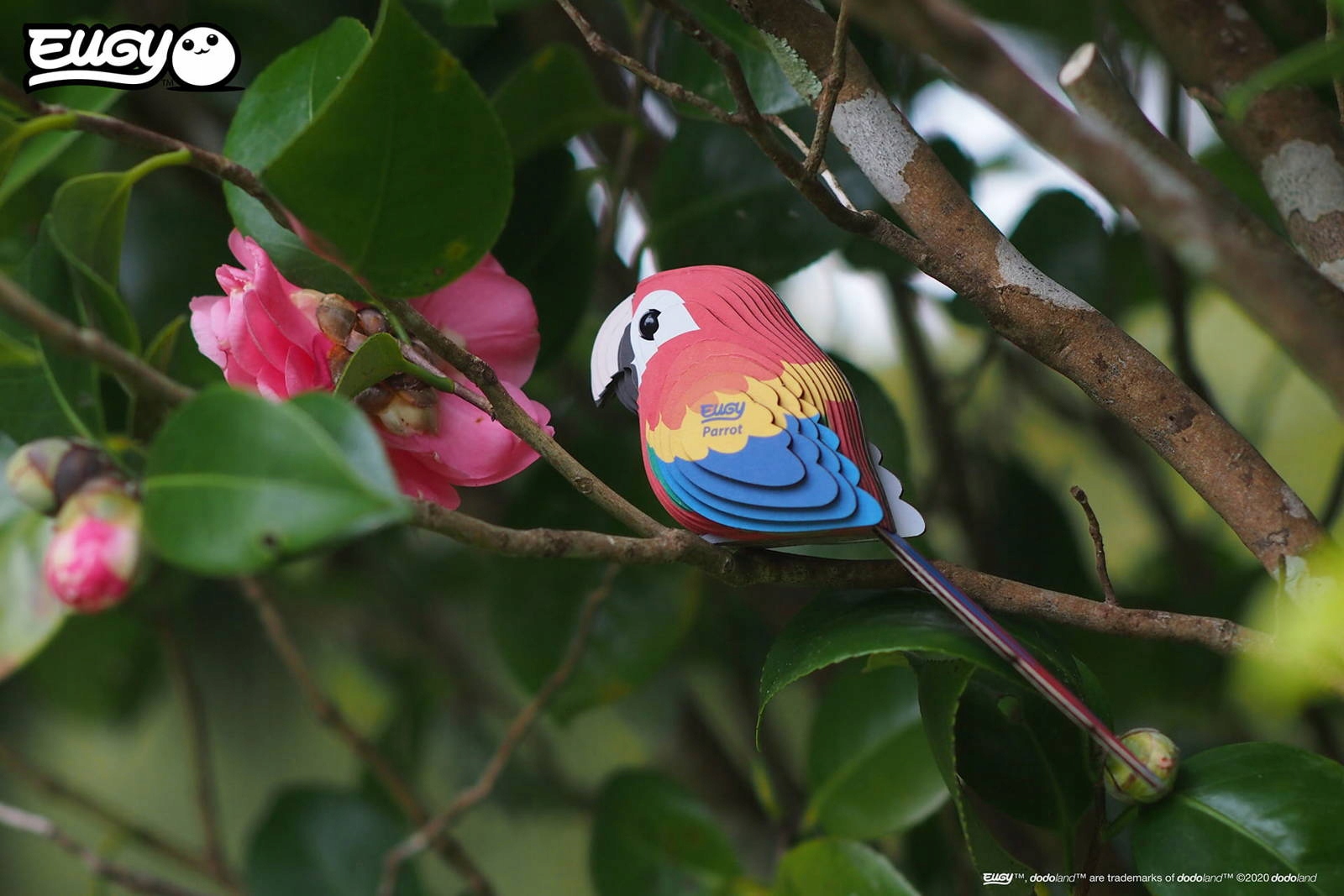 Puzzle 3D Układanka Papuga - Eko zestaw kreatywny dla dzieci 6 lat+, Eugy Certyfikaty, opinie, atesty CE EN 71