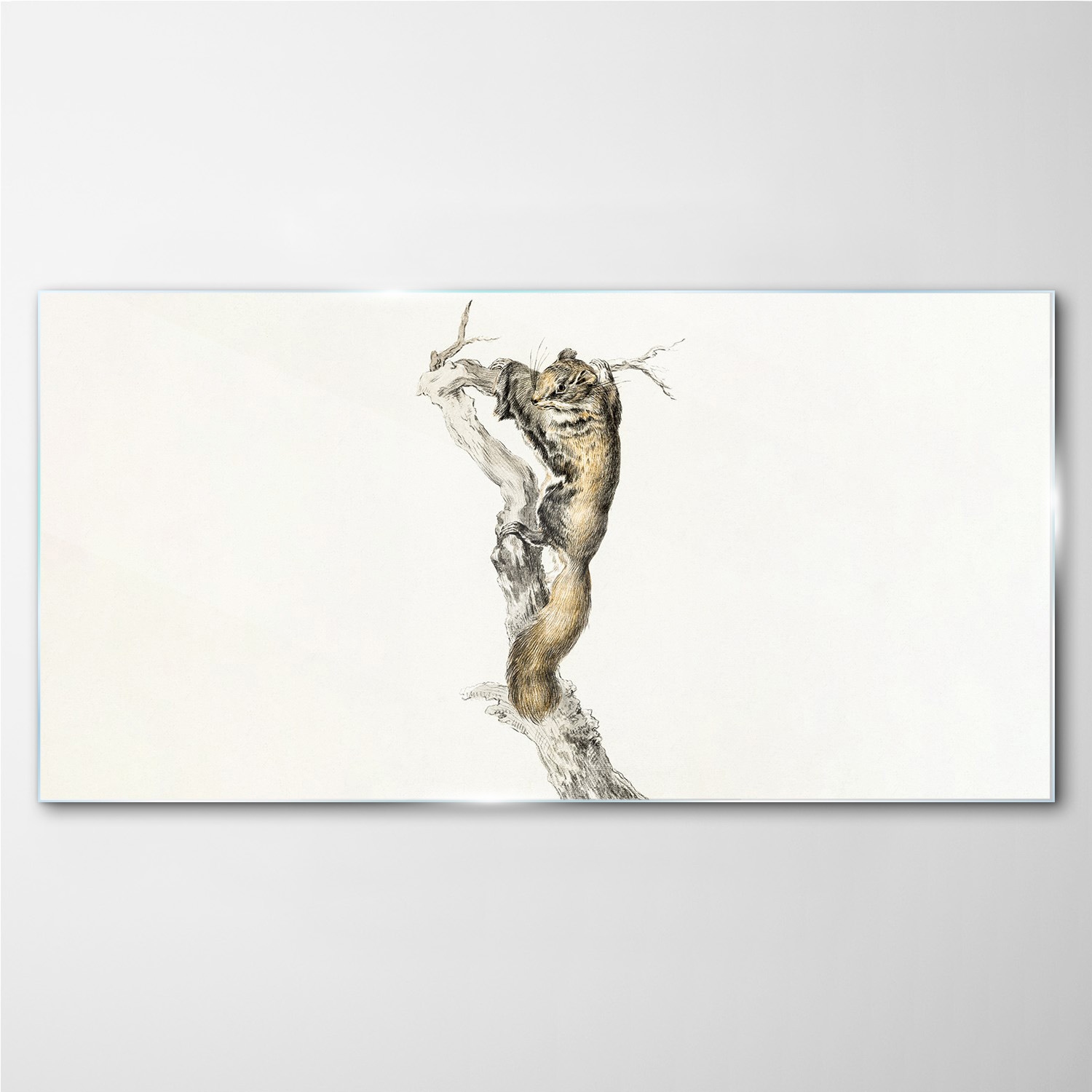 

Obraz szklany Zwierzę wiewiórka oddział 100x50 cm