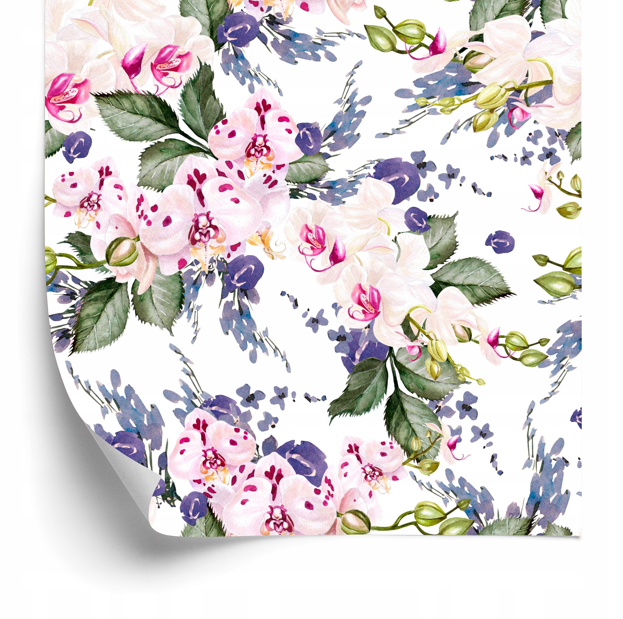 Tapeta do obývačky Zelená Kvety Orchidey Orchidea 50x1000 cm