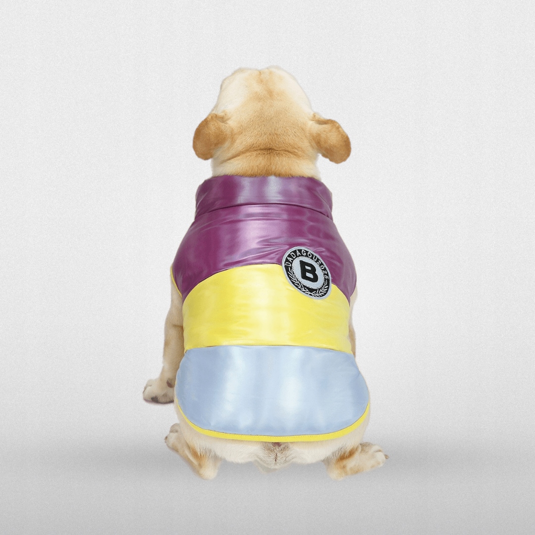 Bunda Pro Psa Buldočka Mopsa Různé Barvy Hello Moon Tricolor žlutá S