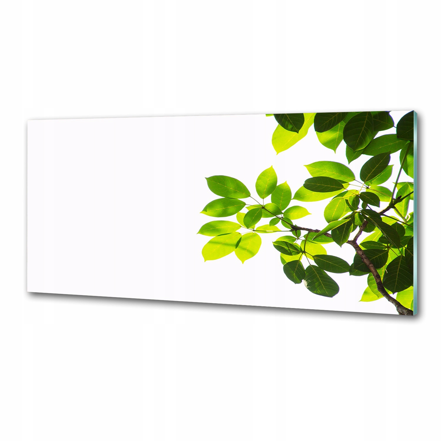 Sklenený panel do kuchyne Listy 125 x 50 cm Lepidlo