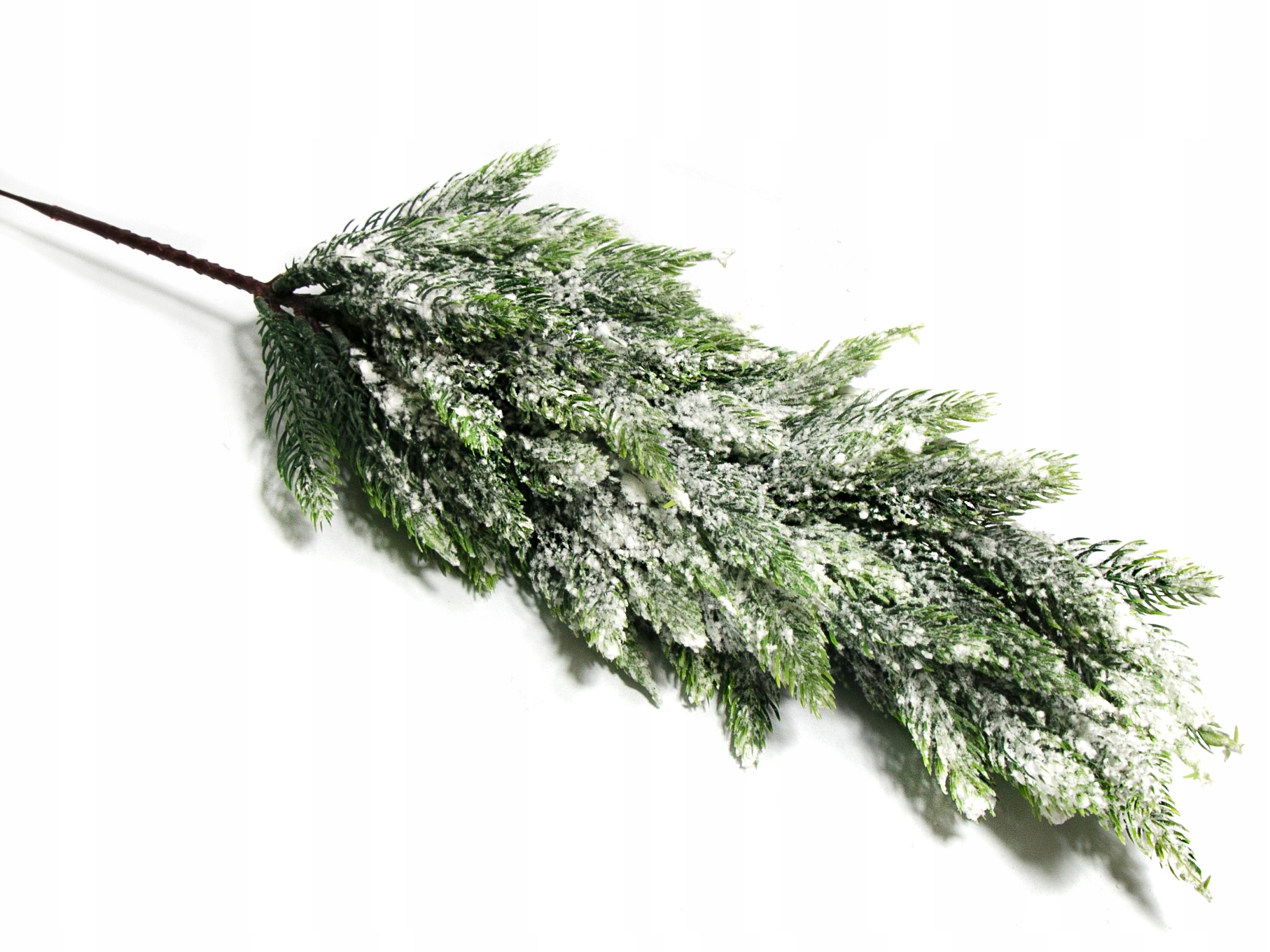 

Choinka Ośnieżona Gęsta Tuja Drzewkona Piku 53cm