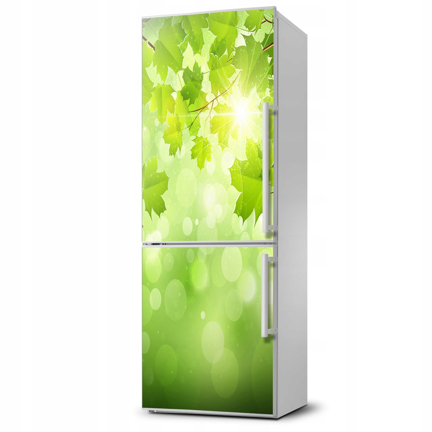 

Naklejka Magnes Magnes Zielone liście 60x180