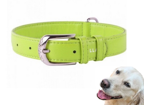 Levně Obojek Pro Psa Z Kůže Waudog Collar 15 MM 27-36 CM Zelený