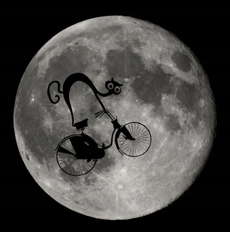 

Damska Koszulka Księżyc Rozmiary Wzory Hit m9a