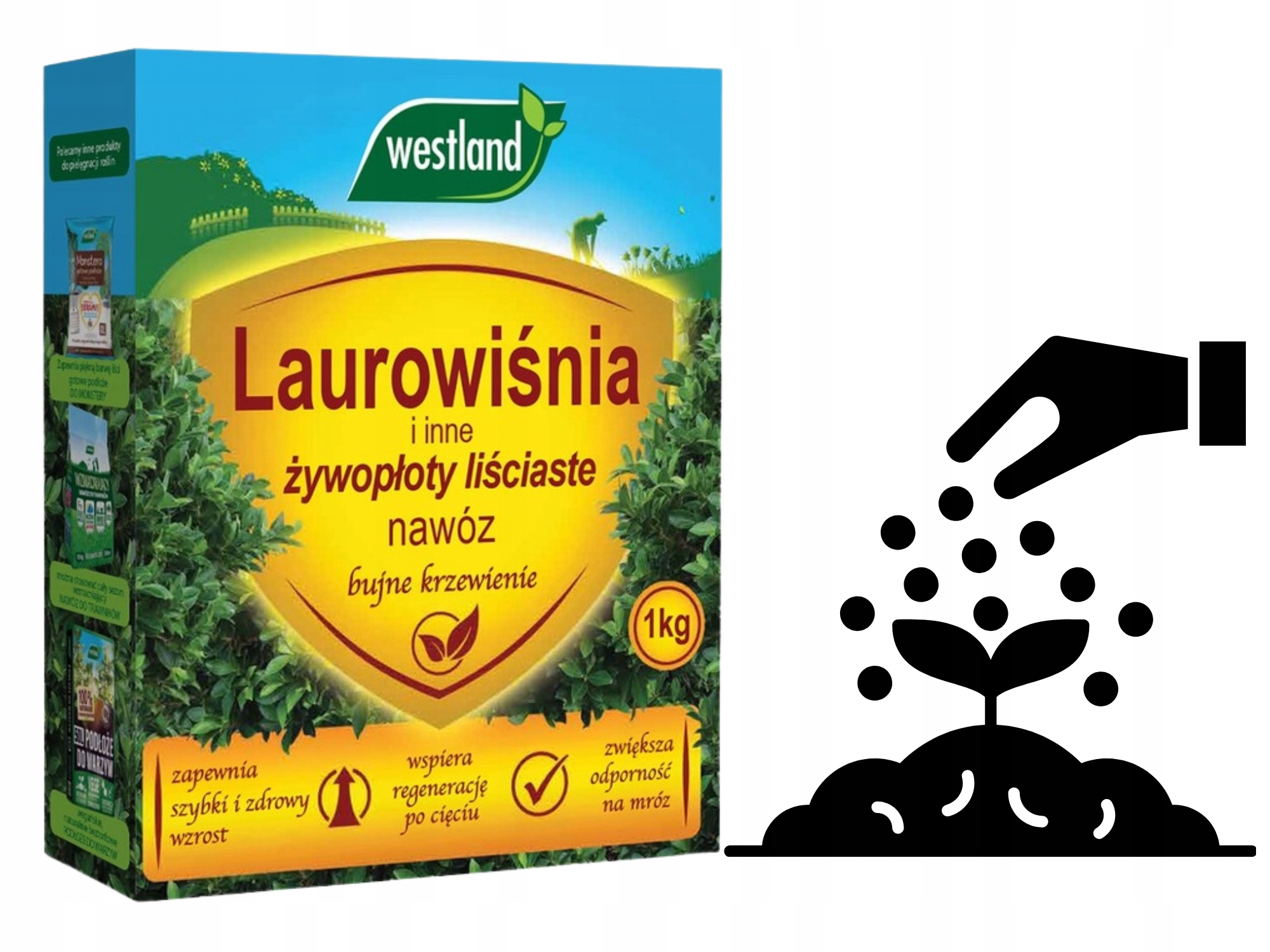 NAWÓZ DO LAUROWIŚNI I INNYCH ŻYWOPŁOTÓW LIŚCIASTYCH BUJNE KRZEWIENIE 1KG Waga 1 kg